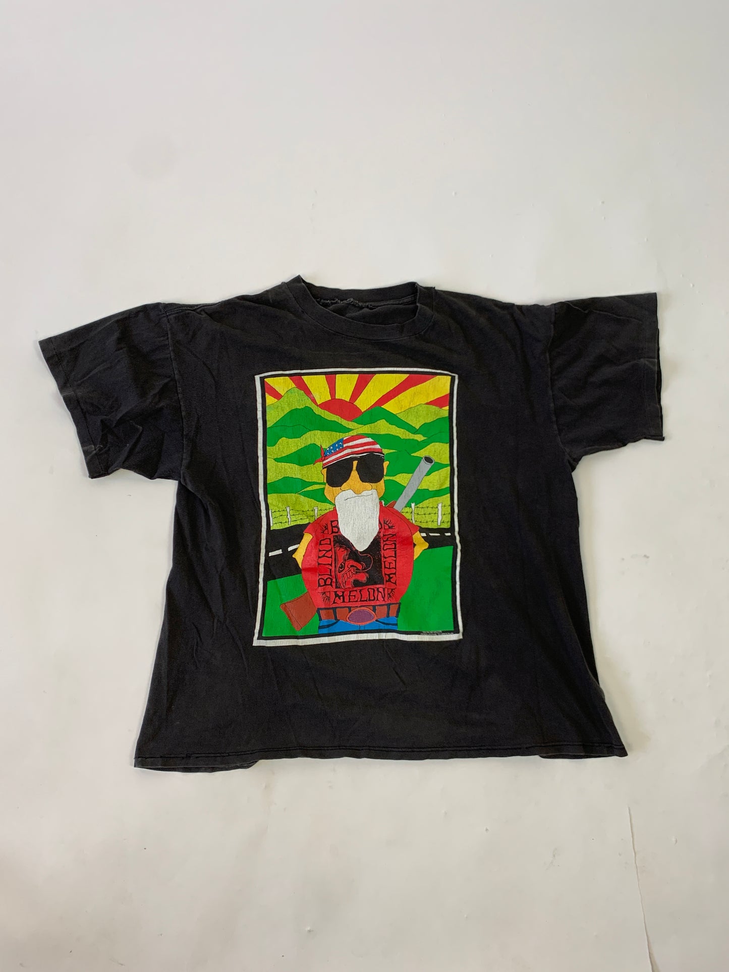 Playera Blind Melon "South Park" Vintage - L