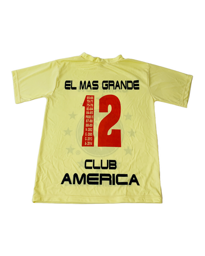 America 2014 Campeon Jersey - M