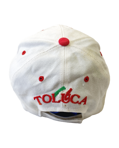 Toluca All Over Embroidery Vintage Cap