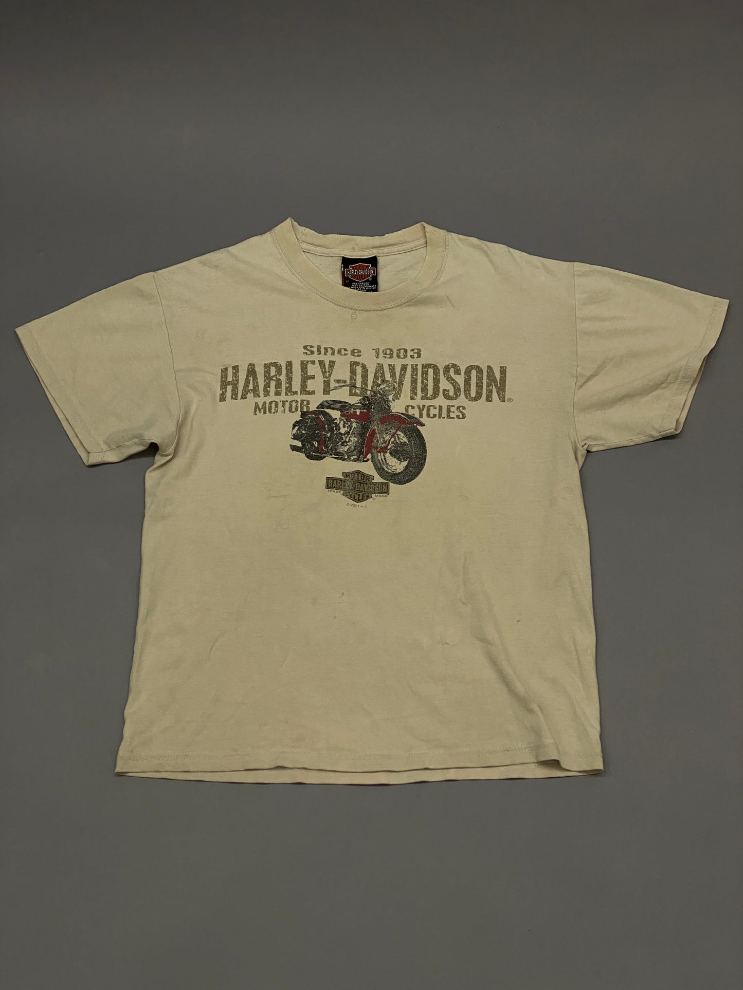 Playera Harley Davidson 2001