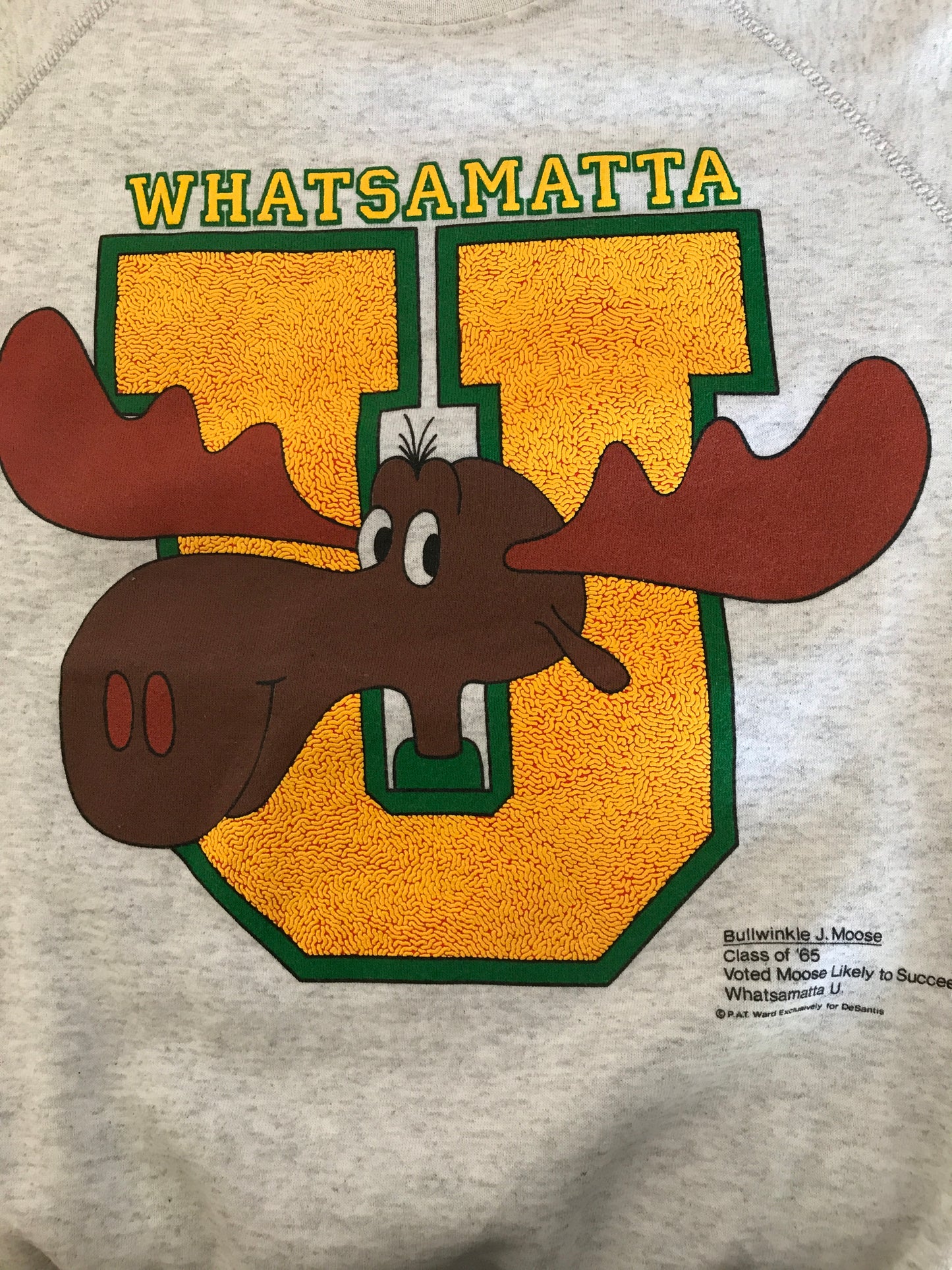 Vintage Whatsamatta Sweatshirt