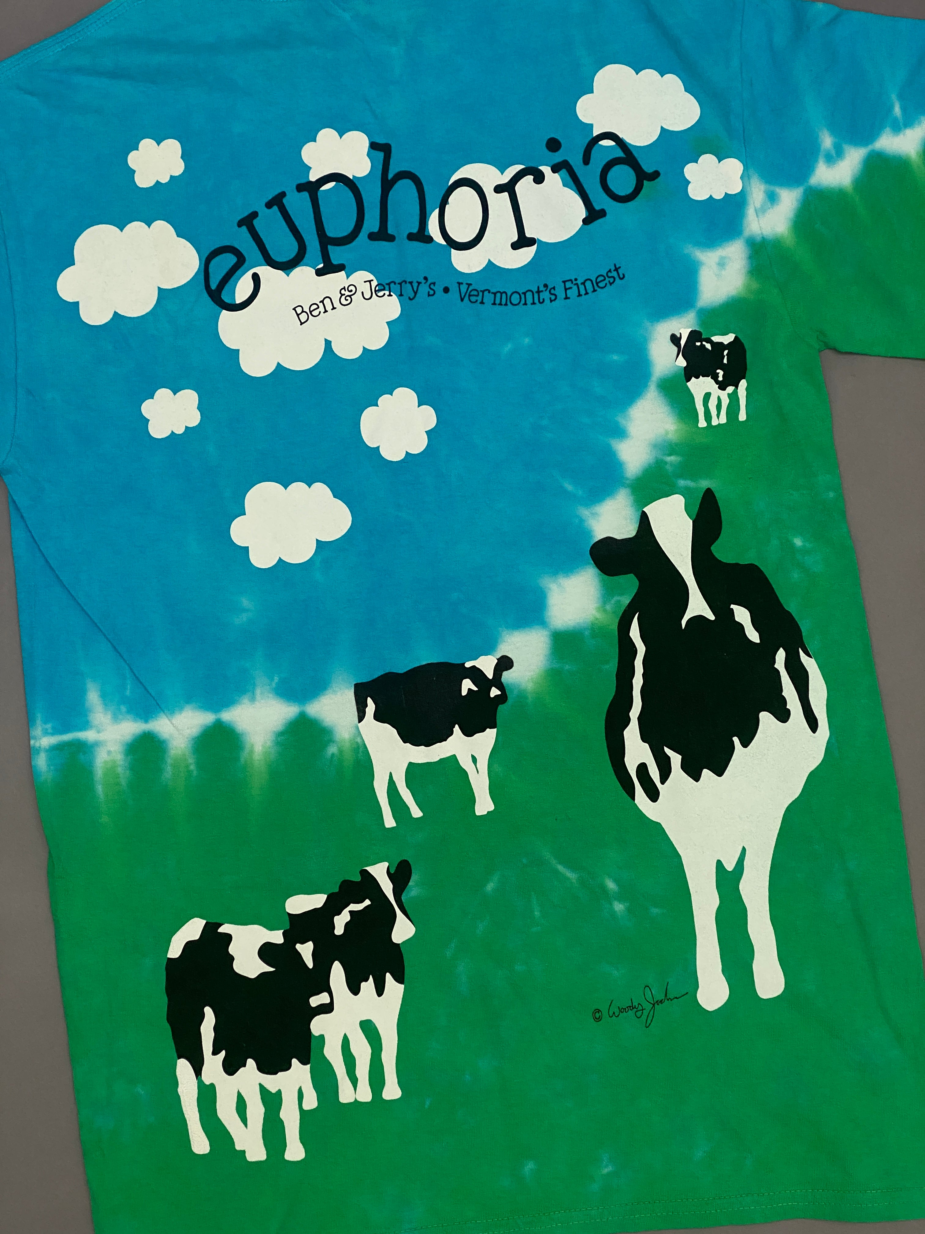 Ben & Jerry's T-shirt – Ropa Chidx