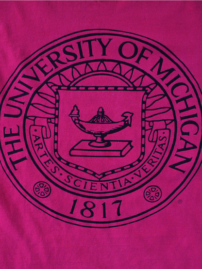 Playera Universitiy of Michigan Vintage