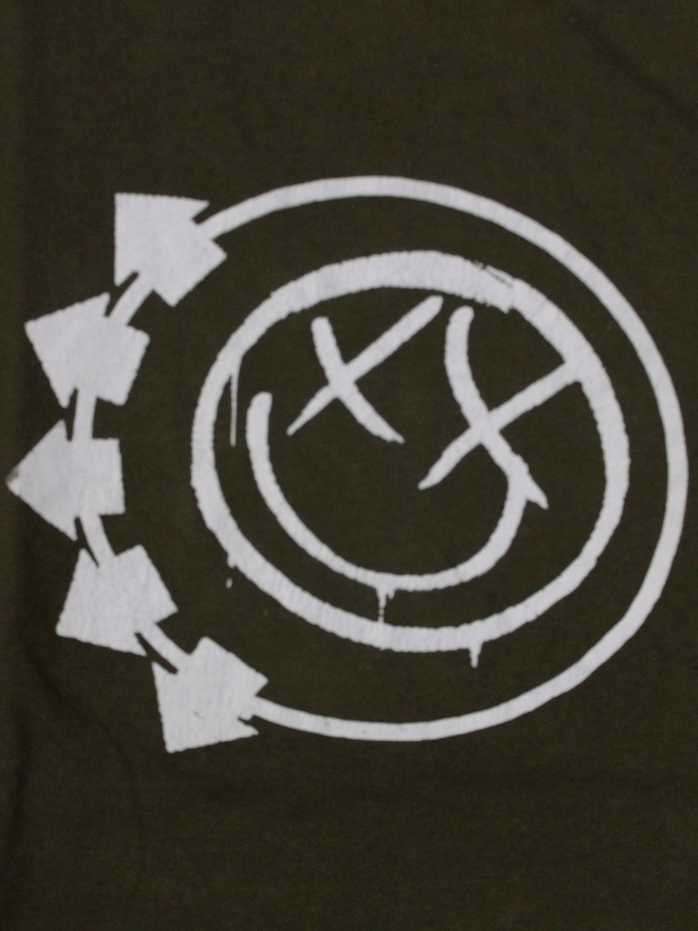 Blink 182 2004 T-shirt