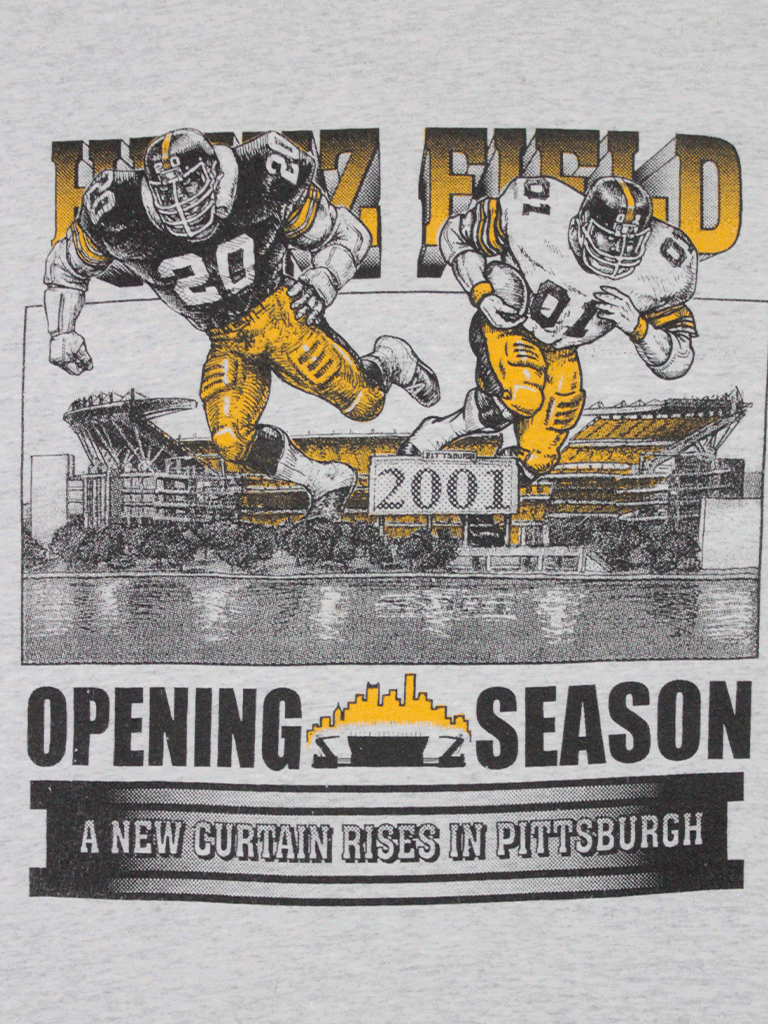 Pittsburgh 2001 jersey