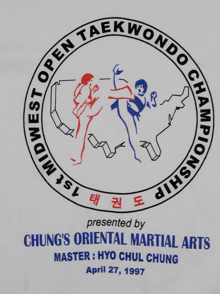 Playera Taekwondo Championship Vintage