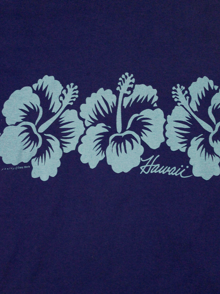 Playera Hawaii Crazy Shirt