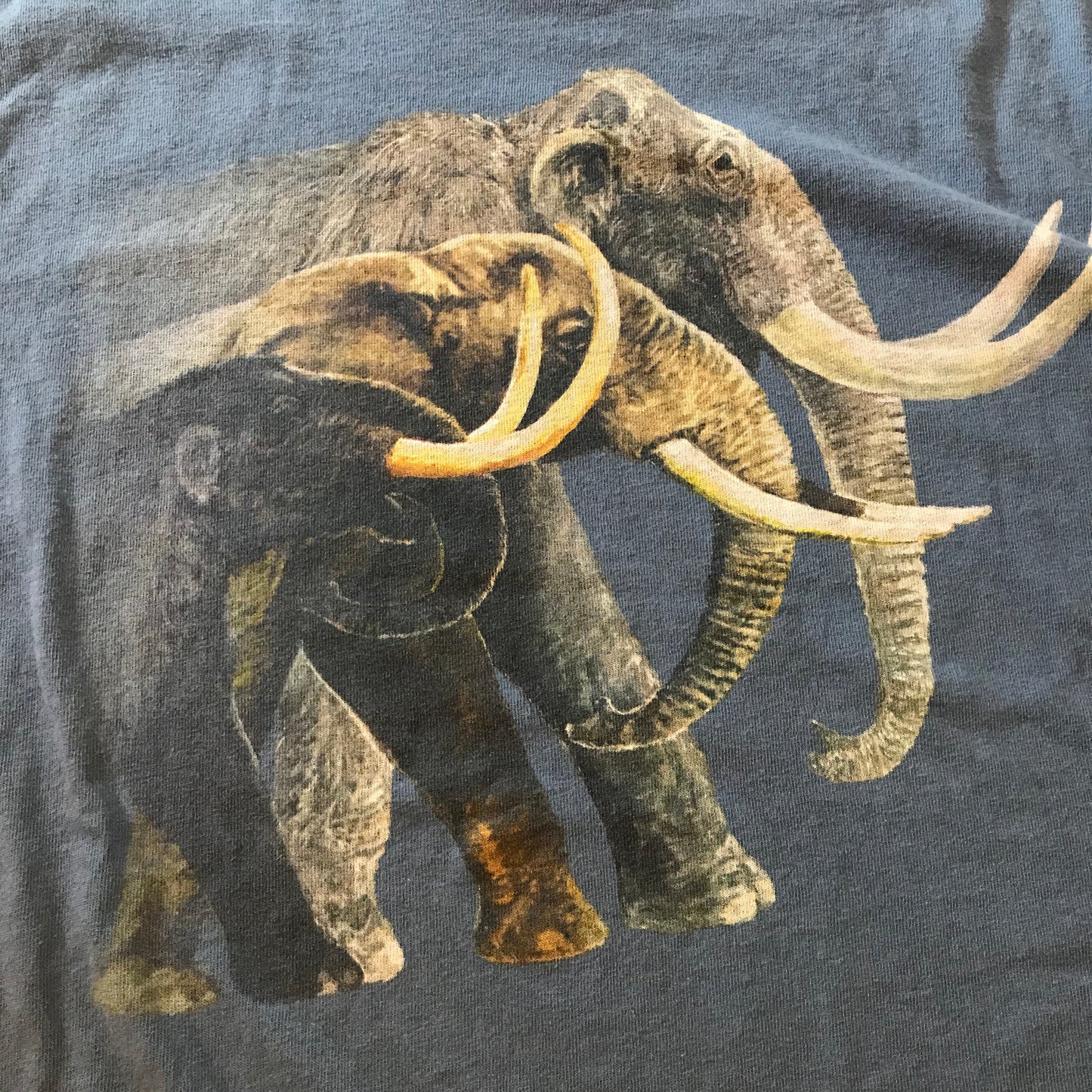 Playera Mamuts 🐘