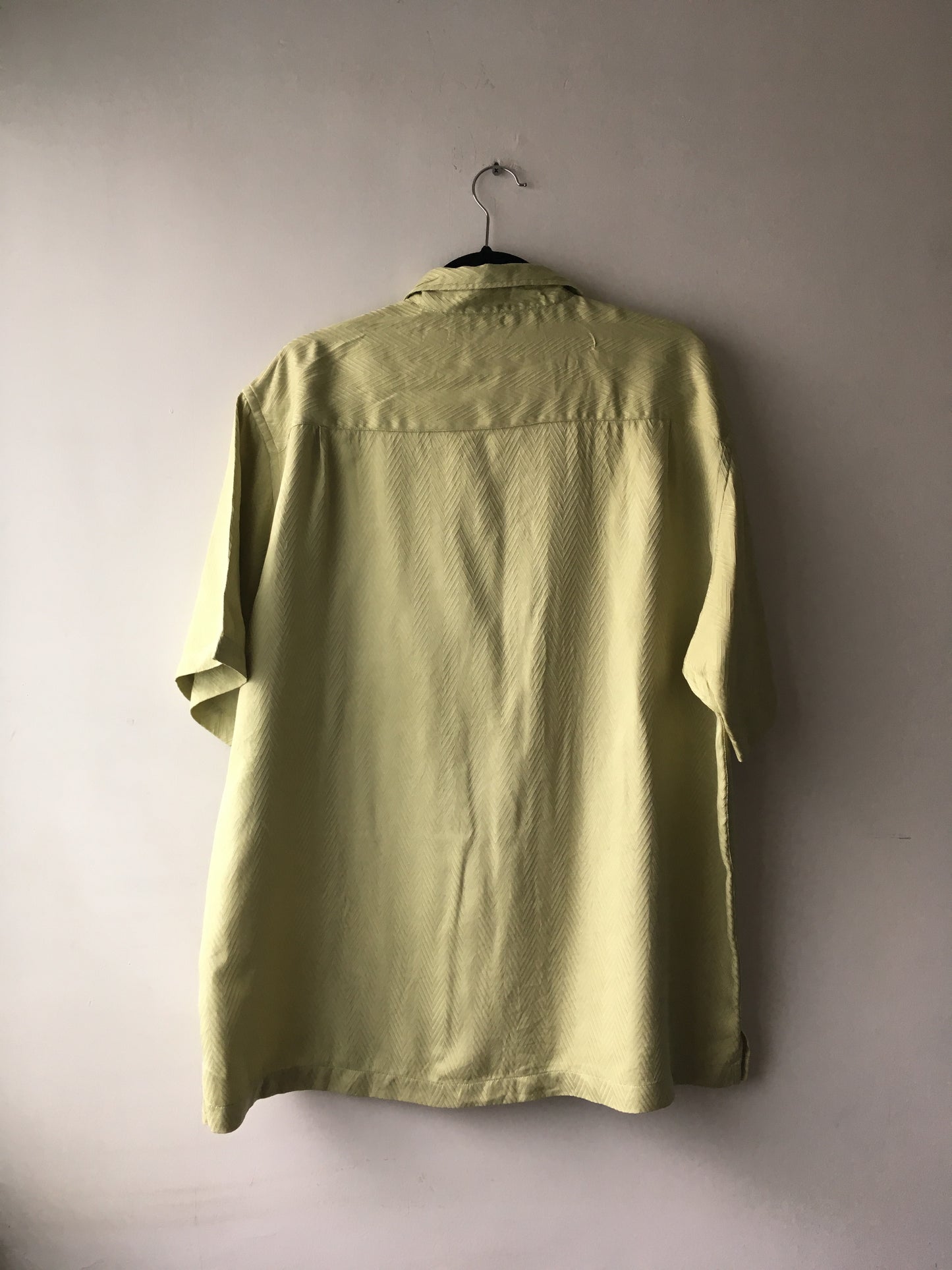 Camisa Verde de Seda
